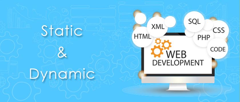 Difference Between Static vs Dynamic Website